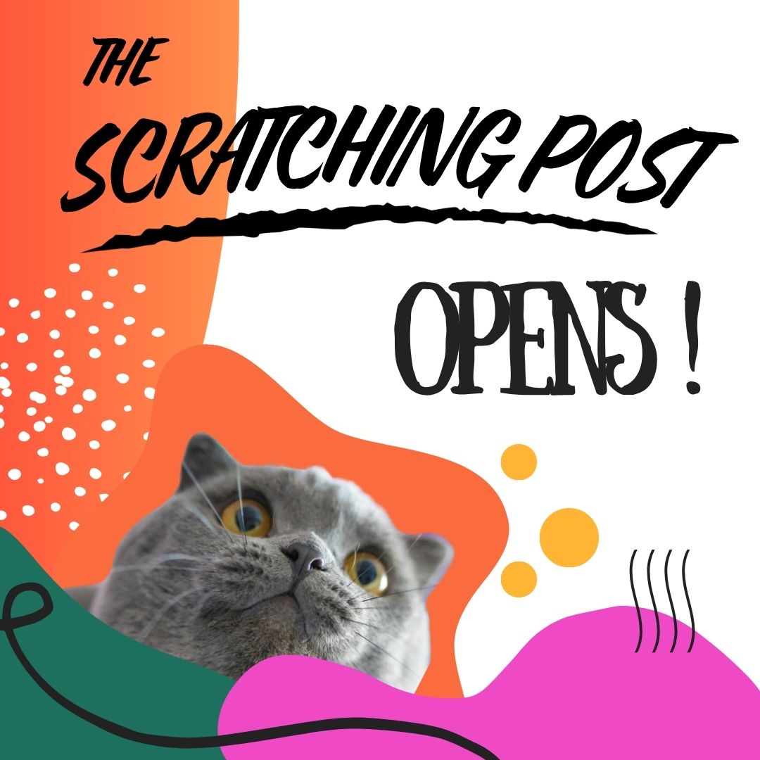 The Scratching Post Opens