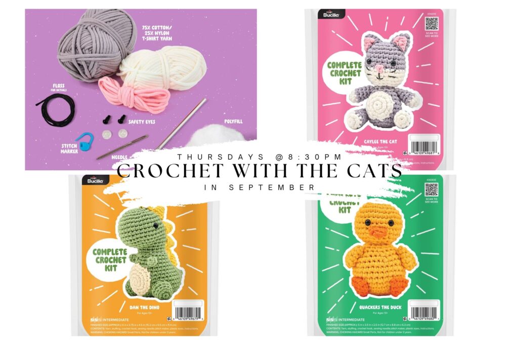 Crochet with the Cats The Scratching Post Champaign, IL Cat Cafe