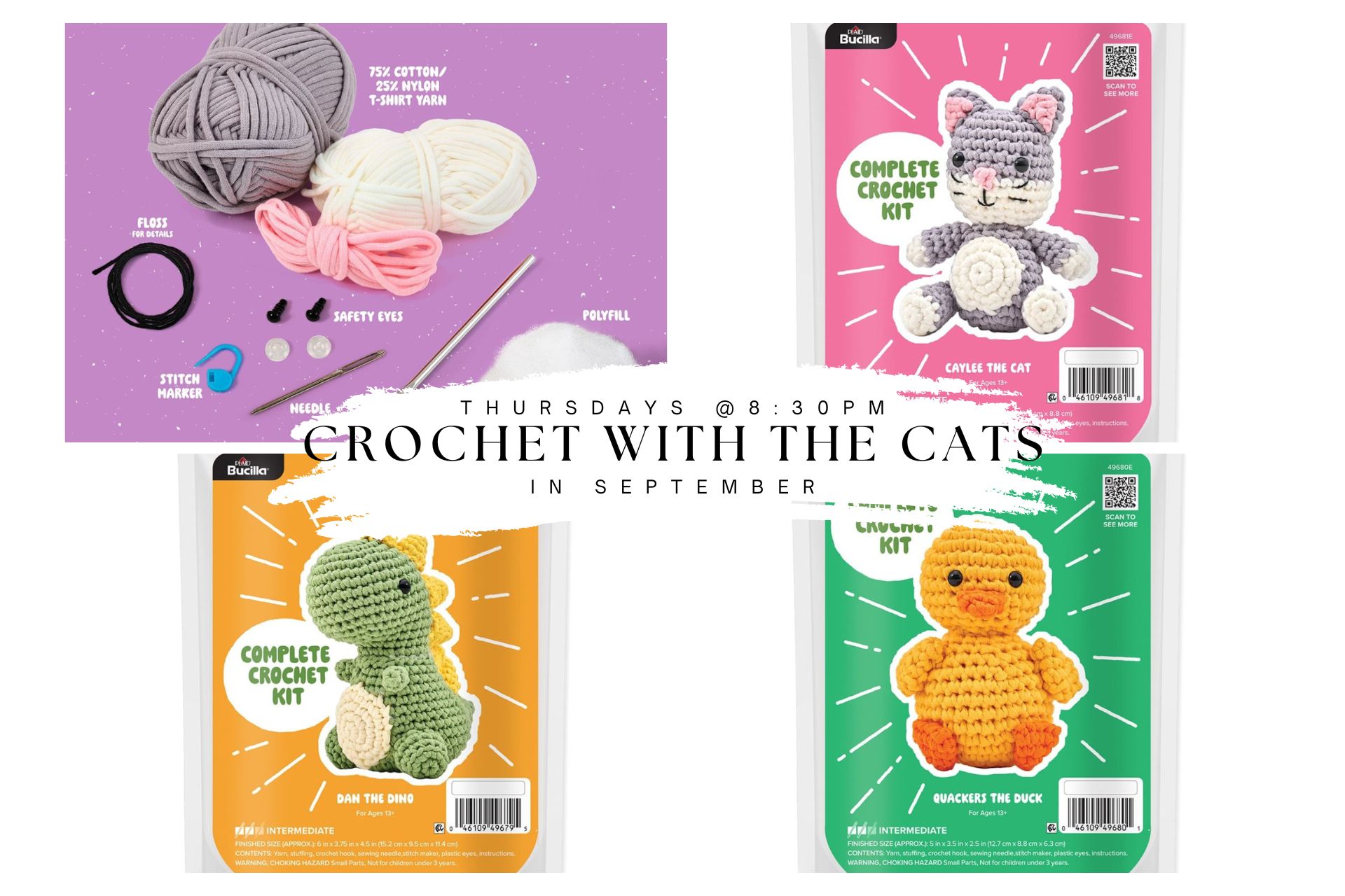 Crochet with the Cats The Scratching Post Champaign, IL Cat Cafe