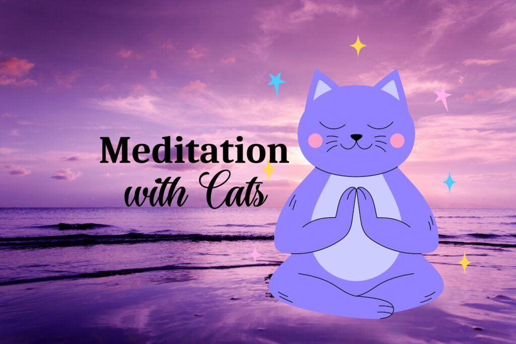 Meditation with cats The Scratching Post Cat Cafe Champaign, IL Board Game Cafe Events