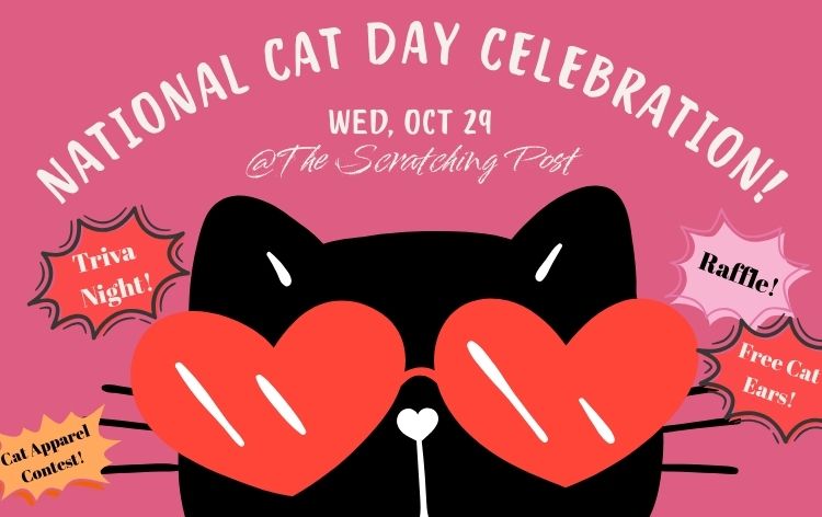 National Cat Day at The Scratching Post Cat Cafe Champaign, IL