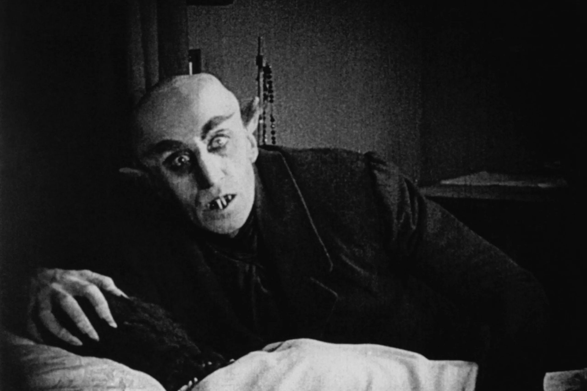 Nosferatu movie night with Cats The Scratching Post Cat Cafe Board Game Cafe Champaign, IL