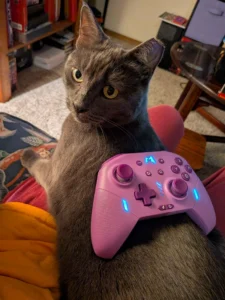 Gamer Cat