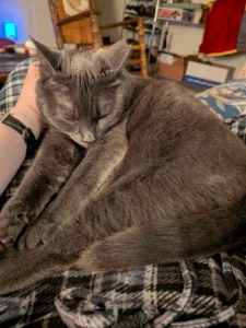 Big snoozin hours