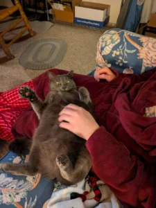 Tummy Time Attack