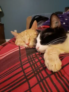 Best friends for life