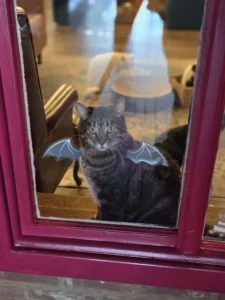 His lordship takes flight
