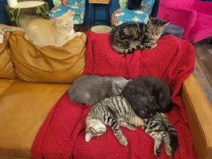 Slumber party