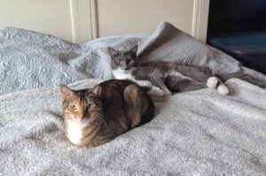 Best friends