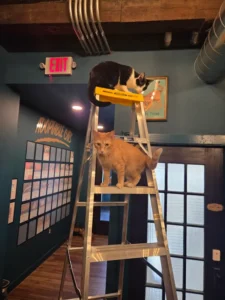 Working hard