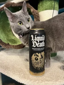 Official Mascot of Liquid Death!