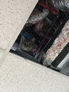 Radar's ceiling domain